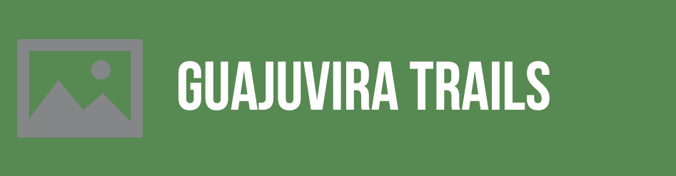 guajuvira