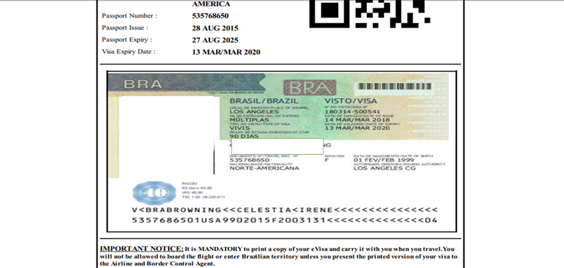 Apply For Your VISA Fully Online Brazilian Experience