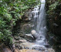 Environmental Conservation Waterfall
