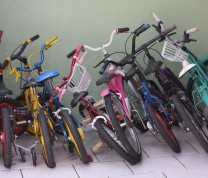 Volunteer Childreen Care House Kids Bikes
