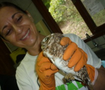 Wildlife Conservation Owl