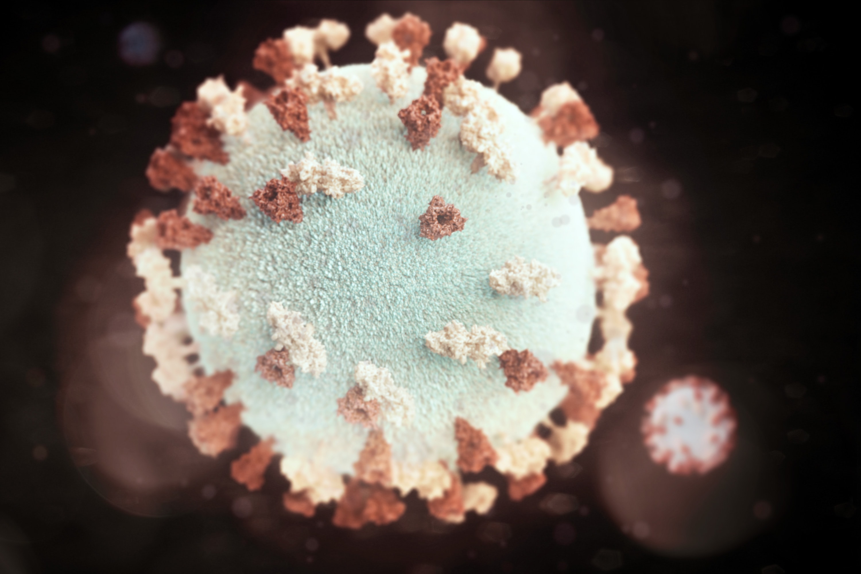 celular coronavirus