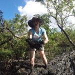 4Study-Abroad-Island-150x150-1.jpg