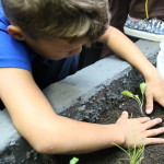 Community-Center-Gardening-Activity.jpg