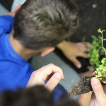 Community-Center-Gardening-Kids-Pla.jpg