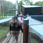 Community-Center-Wild-Life-Visit-Bi.jpg