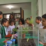 Educational-Center-Volunteer-Planting-150x150-1.jpg