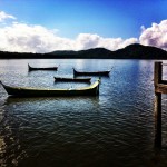 Study-Abroad-View-150x150-1.jpg