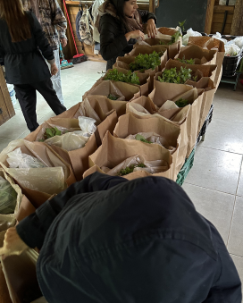 Transform Lives Through Art and Sustainability 10