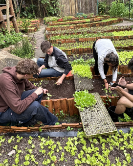 Transform Lives Through Art and Sustainability 12