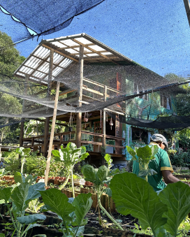 Transform Lives Through Art and Sustainability 13