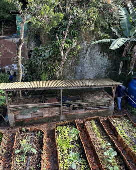 Transform Lives Through Art and Sustainability 15