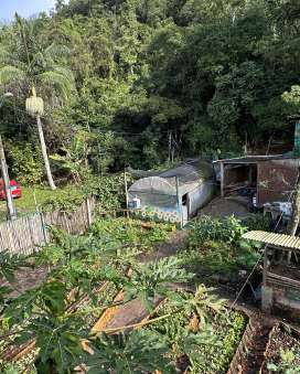 Transform Lives Through Art and Sustainability 16