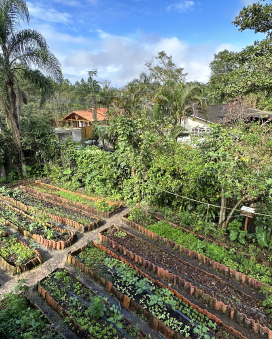 Transform Lives Through Art and Sustainability 17