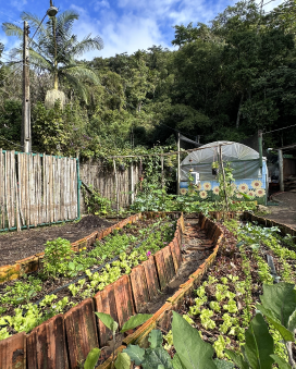 Transform Lives Through Art and Sustainability 18