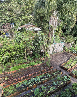 Transform Lives Through Art and Sustainability 20