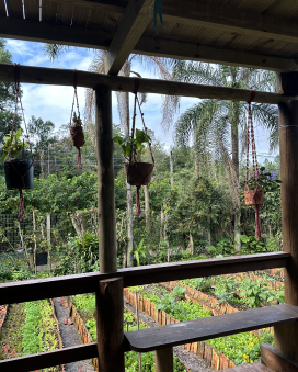 Transform Lives Through Art and Sustainability 22