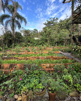 Transform Lives Through Art and Sustainability 24