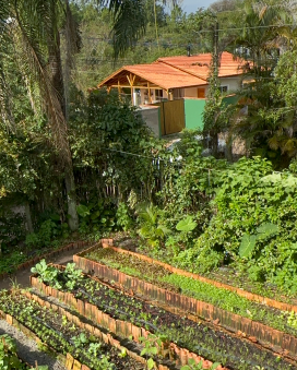 Transform Lives Through Art and Sustainability 3