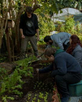 Transform Lives Through Art and Sustainability 6