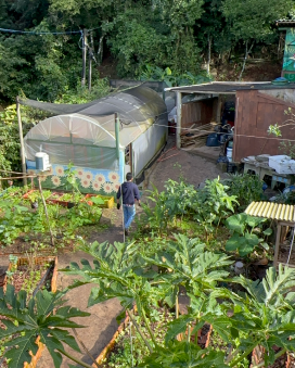 Transform Lives Through Art and Sustainability 8