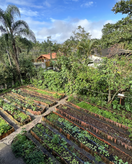 Transform Lives Through Art and Sustainability 9