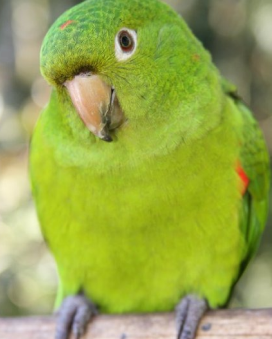 Wildlife rescue centerWildlife rescue center 11