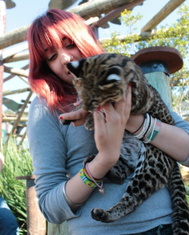 Wildlife rescue centerWildlife rescue center 12