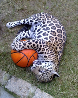 Wildlife rescue centerWildlife rescue center 16