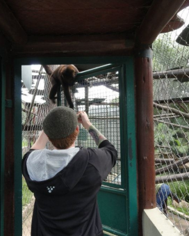 Wildlife rescue centerWildlife rescue center 19