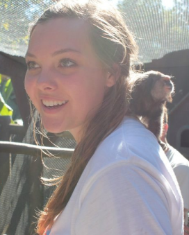 Wildlife rescue centerWildlife rescue center 2