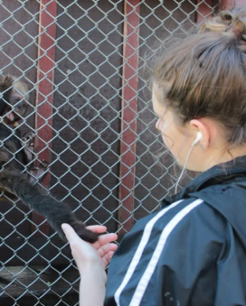 Wildlife rescue centerWildlife rescue center 21