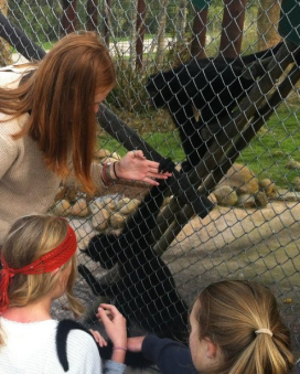 Wildlife rescue centerWildlife rescue center 4