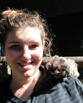 Wildlife rescue centerWildlife rescue center 5