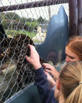 Wildlife rescue centerWildlife rescue center 6