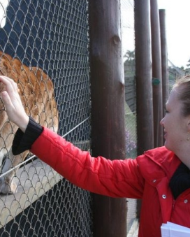 Wildlife rescue centerWildlife rescue center 8