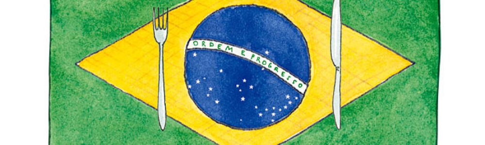 brazilian experience